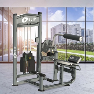 Máy tập lưng Elip AC061