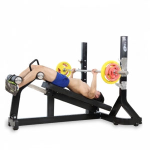 Ghế đẩy ngực dưới Elip OLY106