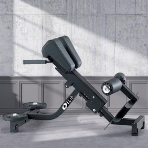 Ghế tập lưng Elip OLY102