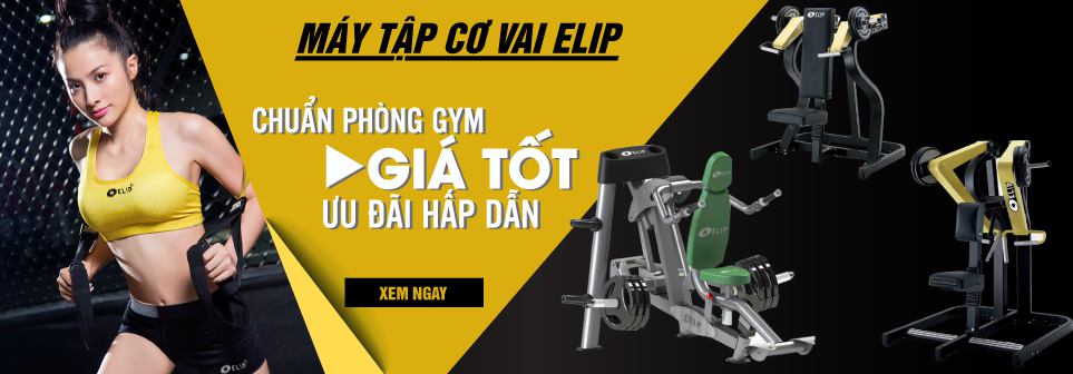 Dụng cụ máy tập gym, thể hình tại TP.Phú Quốc