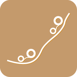 Trục SL<br>Ôm Sát Cơ Thể