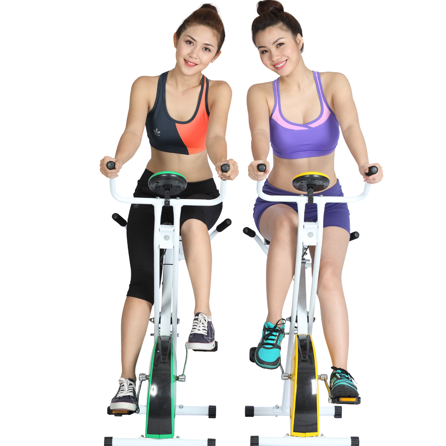 Ảnh sản phẩm Xe đạp tập Elip 2015
