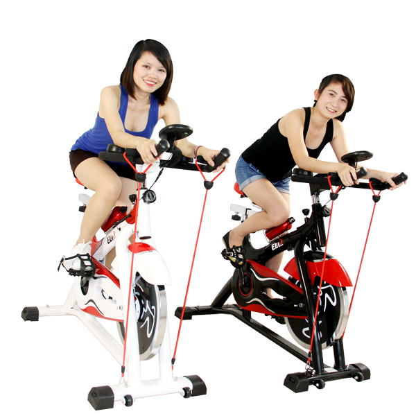 Ảnh sản phẩm Xe đạp tập Elip L004