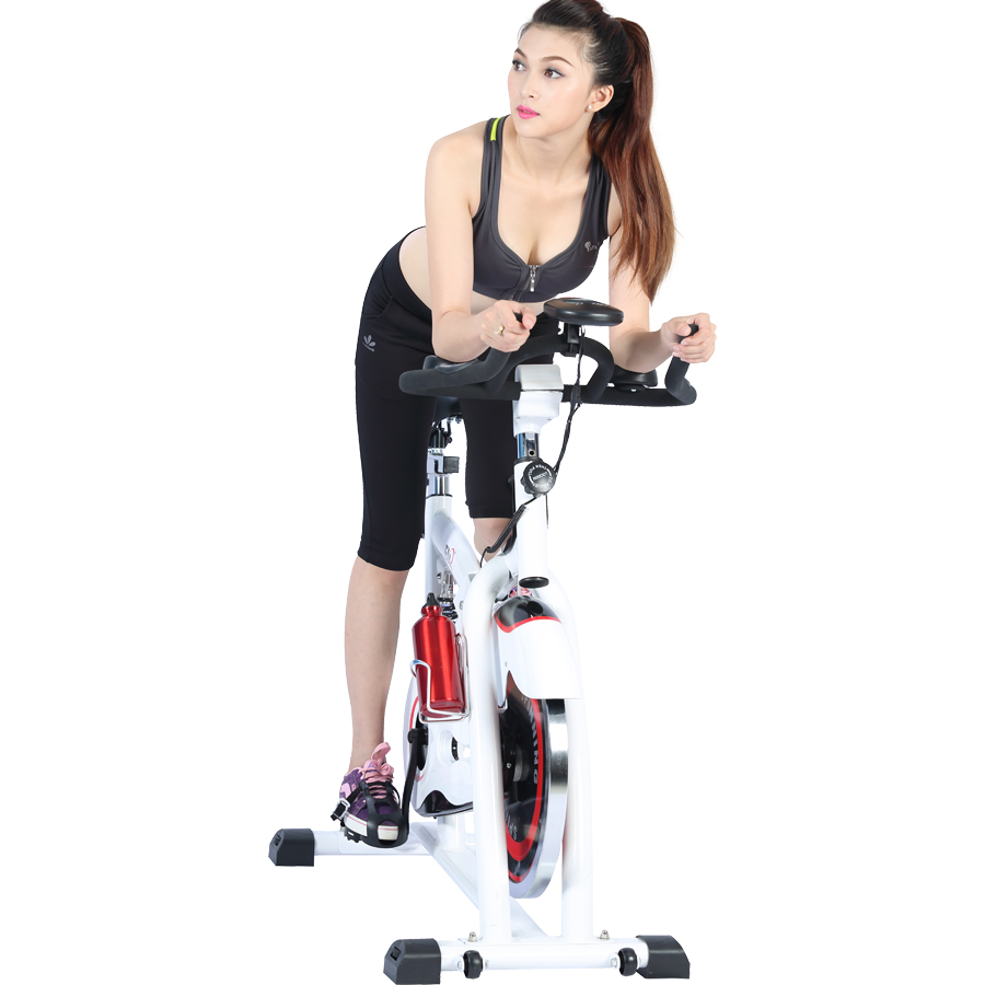 Ảnh sản phẩm Xe đạp tập Gym Elip 009