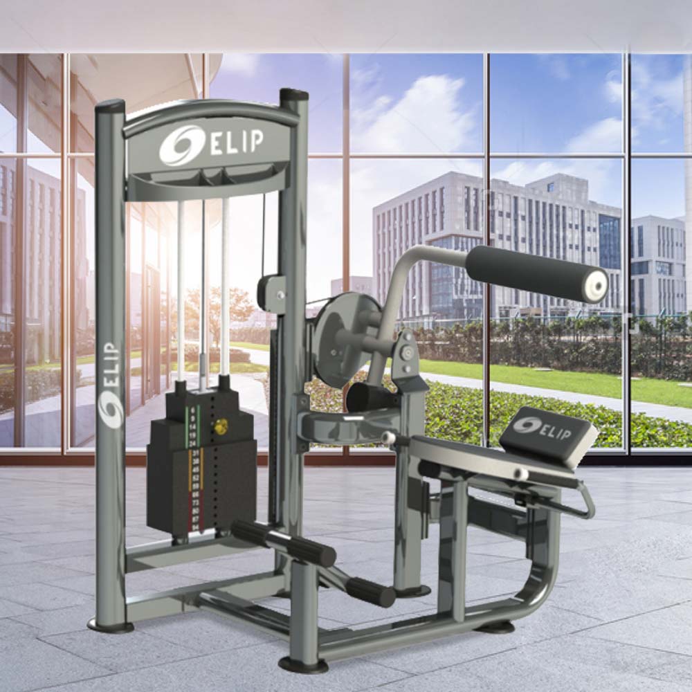 Ảnh sản phẩm Máy tập lưng Elip AC061