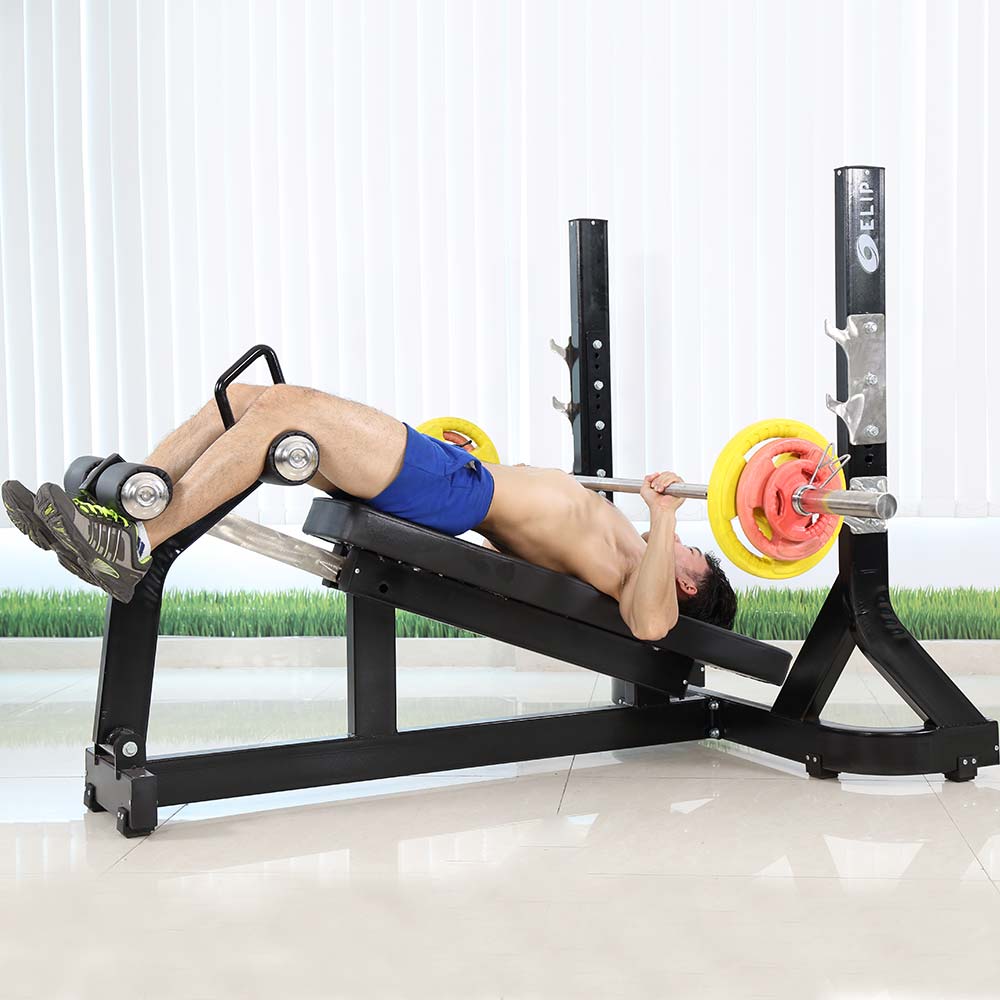 Ảnh sản phẩm Ghế đẩy ngực dưới Elip OLY106