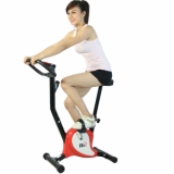Ảnh sản phẩm Xe đạp tập Elip 2014 đỏ