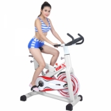 Ảnh sản phẩm Xe đạp tập Elip Gym Max E199 Ver1