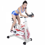 Ảnh sản phẩm Xe đạp tập Elip Gym Max E199 Ver1