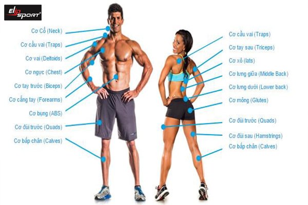 những điều cần biết khi tập gym