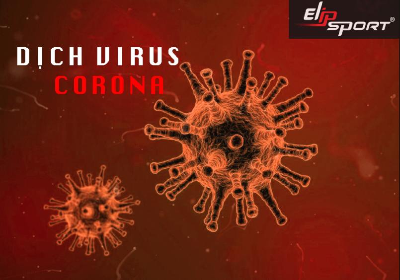dịch virus corona